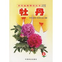 牡丹