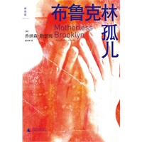 《布鲁克林孤儿》（擒尽英美各大奖项，最佳犯罪小说）（蔡康永在“周二不读书”中力荐）