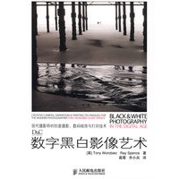 数字黑白影像艺术