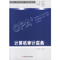 计算机审计实务
