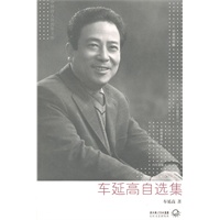 车延高自选集