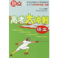 语文：高考大冲刺