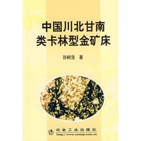 中国川北甘南类卡林型金矿床\孙树浩