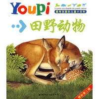 最有创意的youpi儿童小百科第二辑（套装）