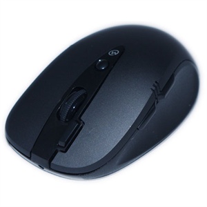 【当当销售配送】双飞燕 A4Tech G10-660L无线鼠标(黑色)
