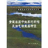 青藏高原中生界沉积相及油气储盖层特征/青藏高原石油地质丛书