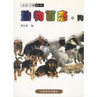 动物百态·狗
