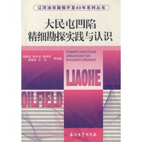 大民屯凹陷精细勘探实践与认识