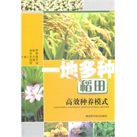 一地多种稻田高效种植模式