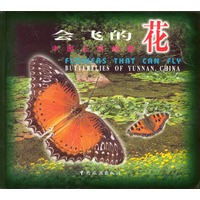 中国云南蝴蝶-会飞的花