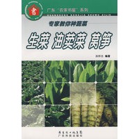 专家教你种蔬菜--生菜 油荬菜 莴笋--广东“农家书屋”系列