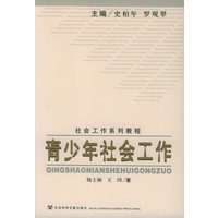 青少年社会工作——社会工作系列教程