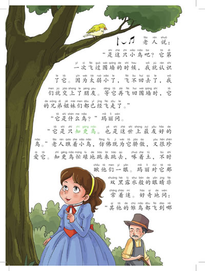 小学语文新课标必读丛书:秘密花园(彩绘注音版