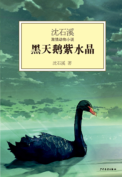插图