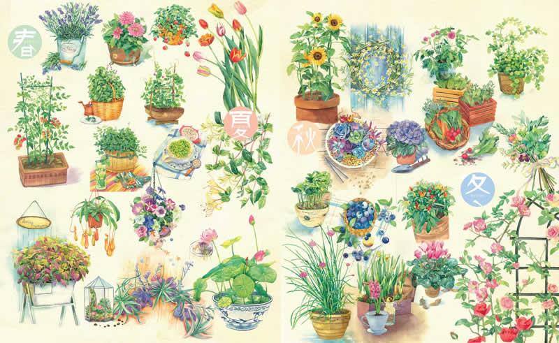 《花时间(最美的手绘园艺书!花一点时间,享受花的时间!)》飞乐鸟_简介_书评_在线阅读-当当图书