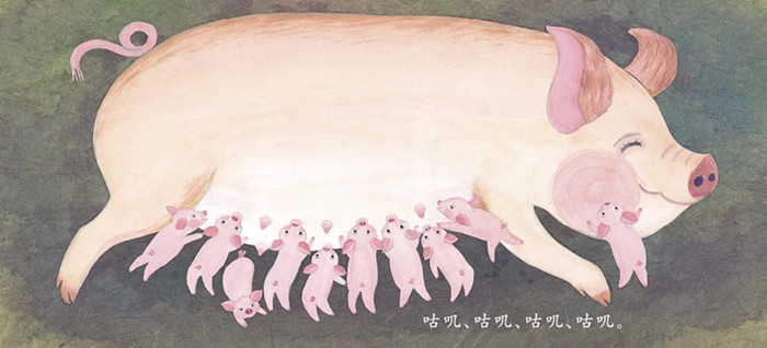 插图
