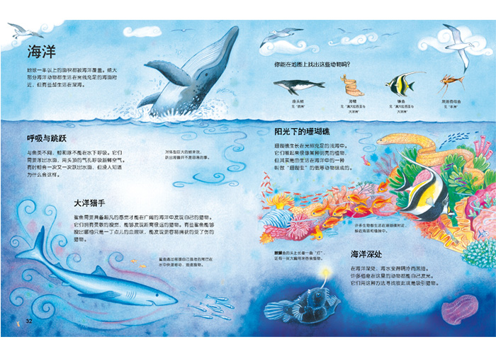 插图
