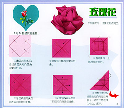 ǳ桤ֶֽͯ:ʵ(ֲ,,ͨ