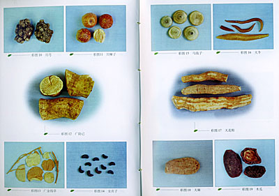 名贵及常用中药材识别与功效—神农百草丛书