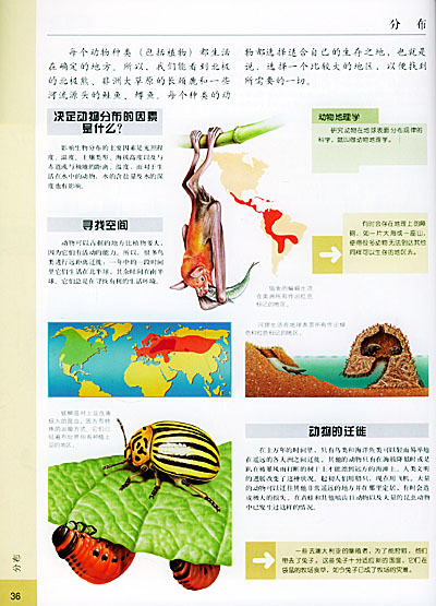 动物百科——少年课堂知识拓展百科系列