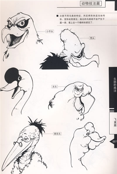 孙家裕; [正版]漫画实战教程——动物技法篇/孙家裕; 动物肢体的画法