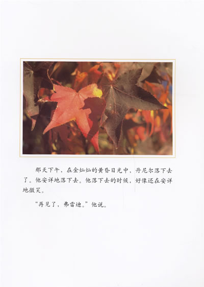 一片叶子落下来:关于生命的故事