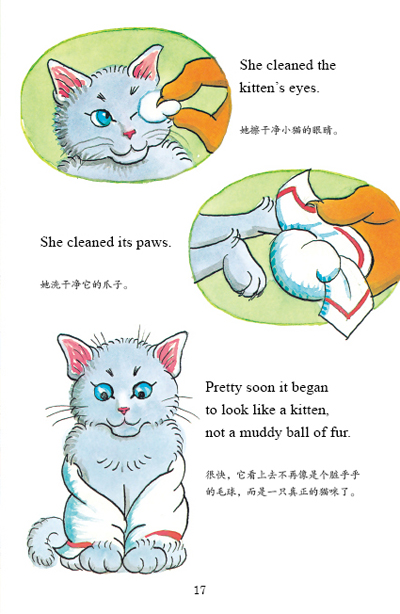 插图