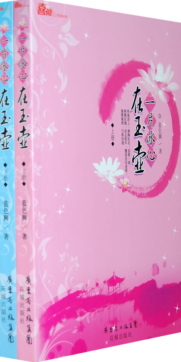 一片冰心在玉壶上下