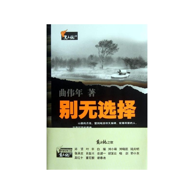 《別無選擇 曲偉年》 【簡介_書評_在線閱讀】 - 噹噹 - 文軒網旗艦店