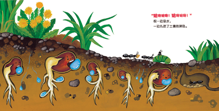 小鱼快跑鱼类特征小海绵科学启蒙绘本第一辑