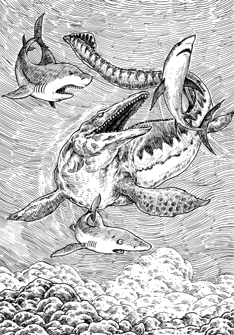 逆境鲨王6:终极王者