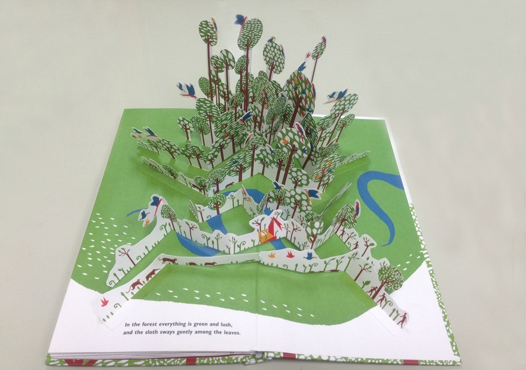 wake up, sloth! 醒醒吧,树懒!(精装立体书) isbn9781596437128