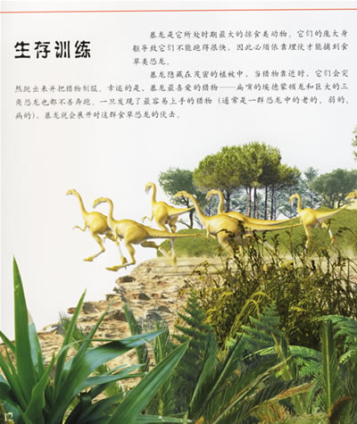 史前时代植物大百科,史前图片,植物大百科(第11页)_大山谷图库